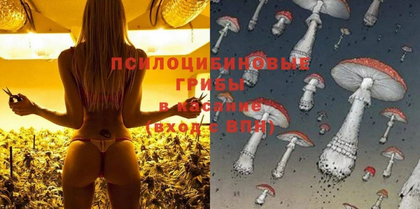 трава Баксан