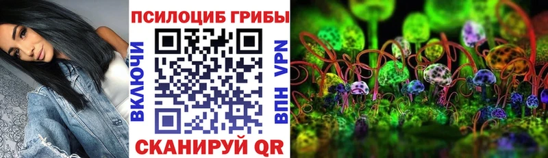 Галлюциногенные грибы мицелий  blacksprut маркетплейс  Ейск 